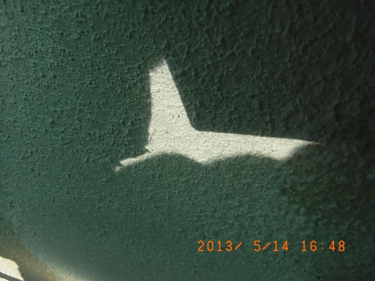 R0016614