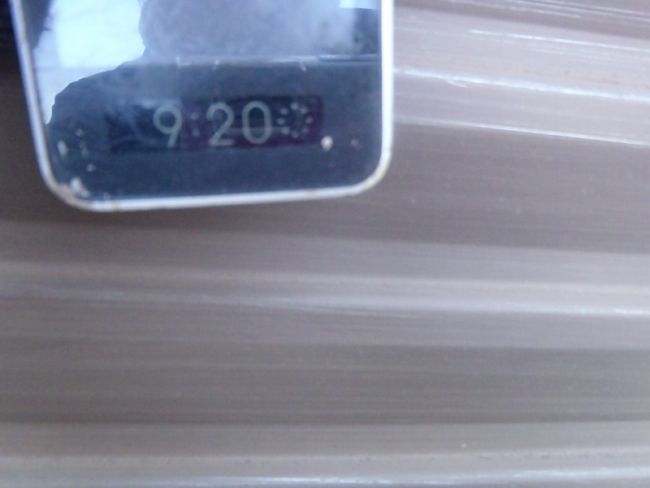 PA170739