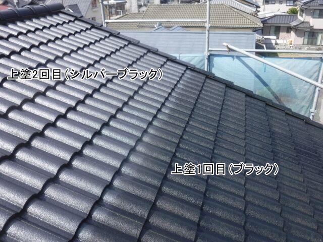 DSCF0739