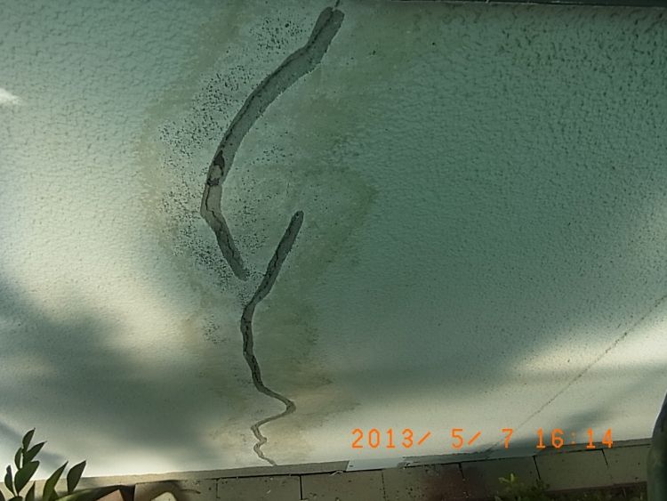R0016519