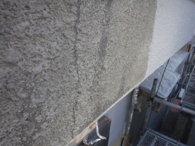 DSCF0781