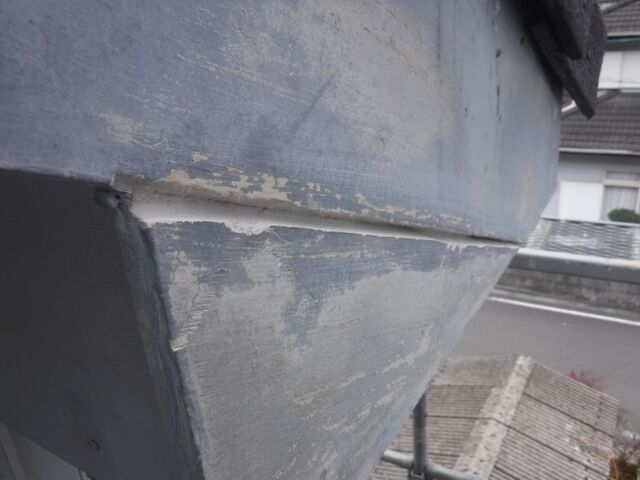 DSCF0591
