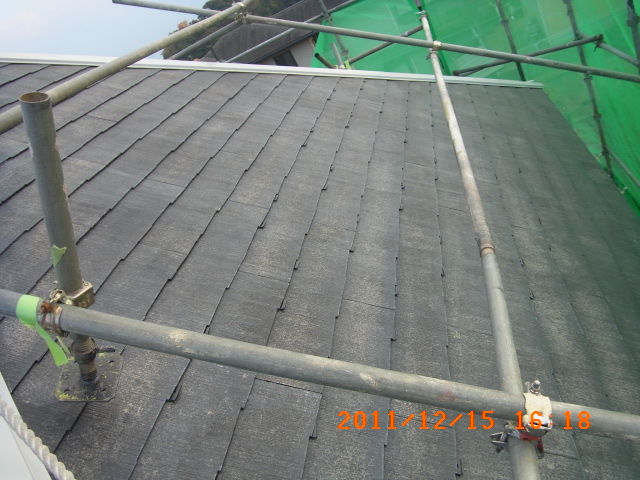 R0010099