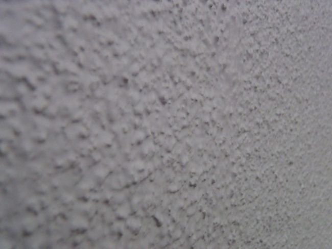PA040447