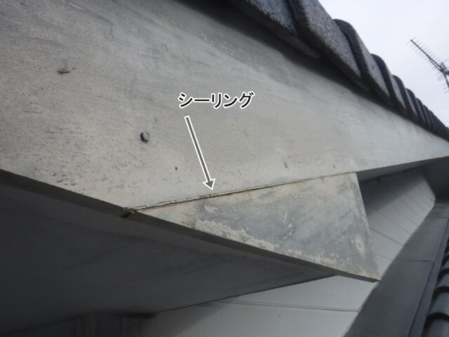 DSCF0579