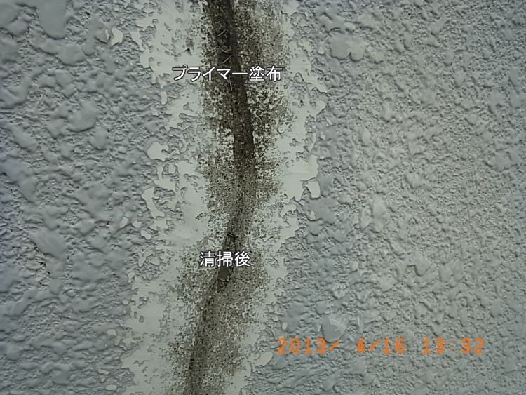 R0016244