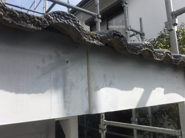 DSCF0593