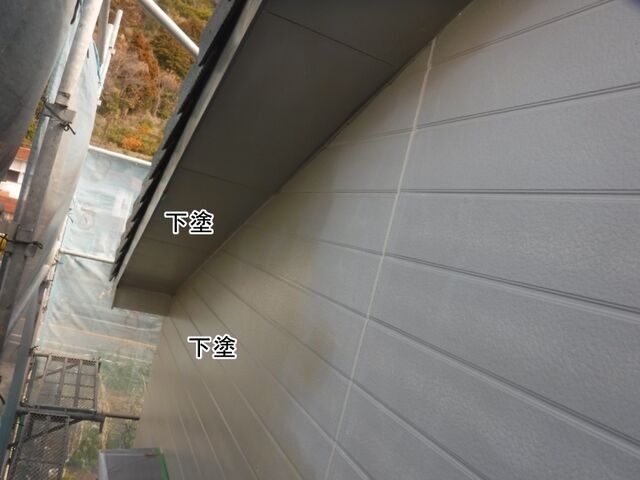 DSCF0774
