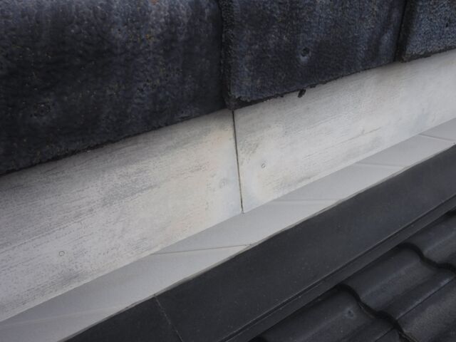 DSCF0581