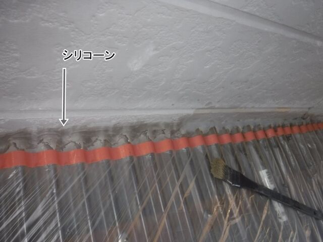 DSCF0768
