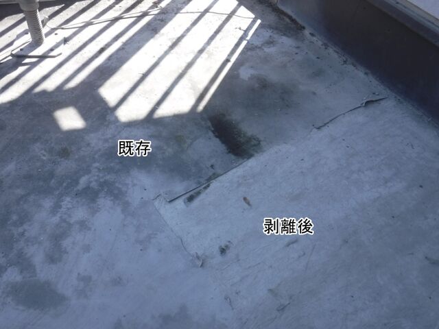 DSCF0621