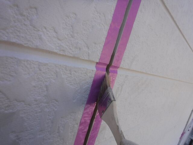 DSCF0545