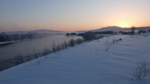DSCF6781