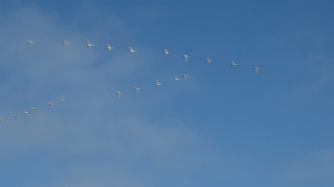 DSCF9582
