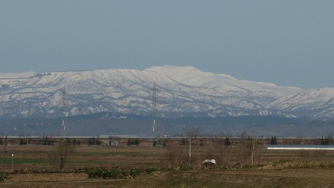 DSCF8011