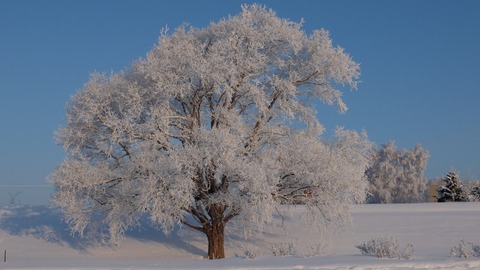 DSCF4964 (1024x576)