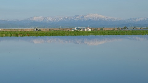 DSCF9117