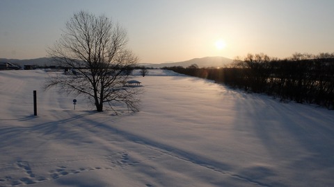 DSCF8893