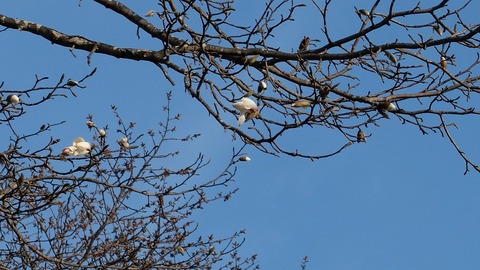 DSCF0041