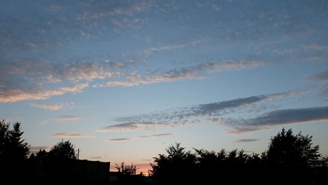 DSCF2339 - コピー