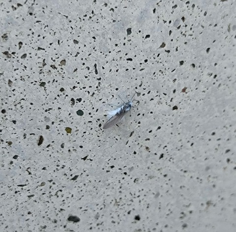 20251026_124810 - コピー