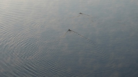 DSCF8897