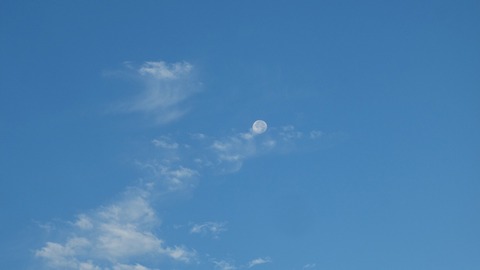 DSCF3809