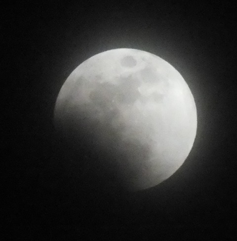 DSCF0156 - コピー