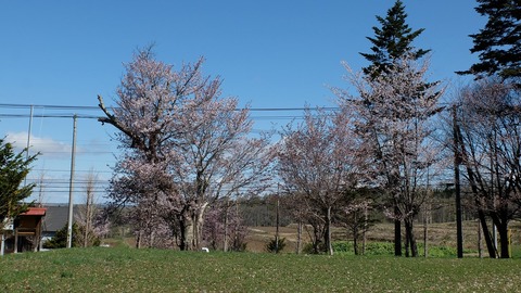 DSCF8659