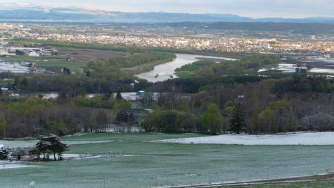 DSCF8951