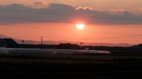 DSCF0441