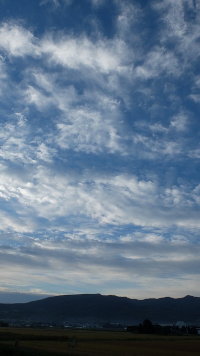 DSCF3811