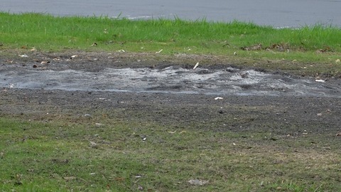 DSCF1920 (1024x576) (2)