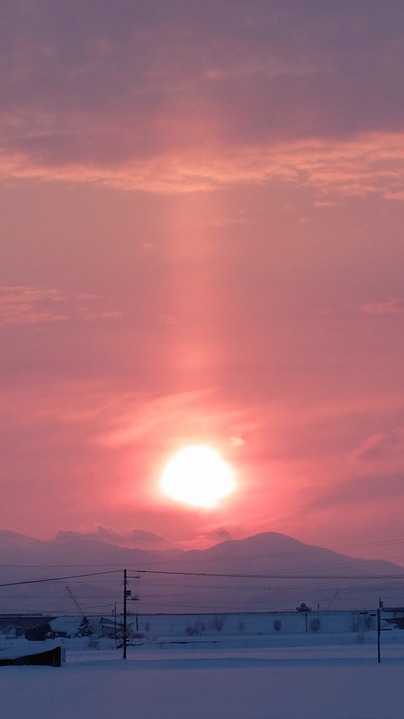 DSCF7882