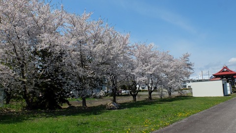 DSCF9003