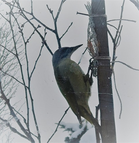 20260202_114710 - コピー