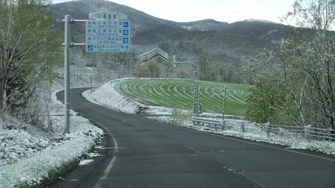 DSCF8973