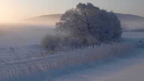 DSCF4946 (1024x576)