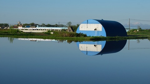 DSCF9113