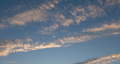 DSCF2335 - コピー