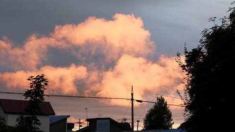DSCF0344