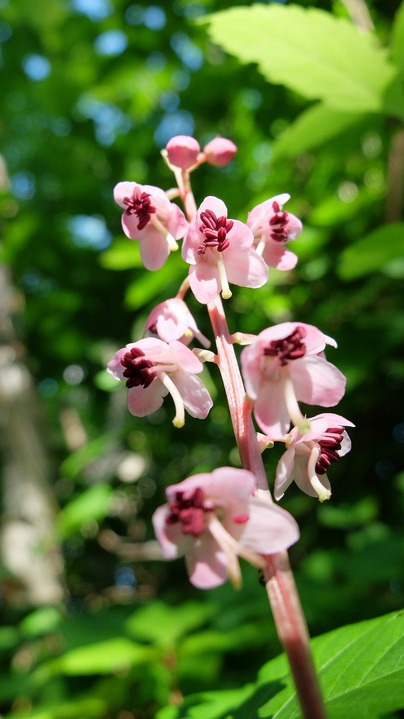 DSCF0474
