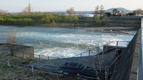 DSCF8424