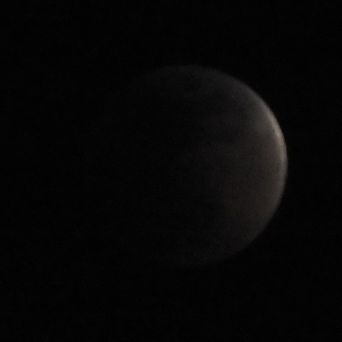 DSCF0179 - コピー