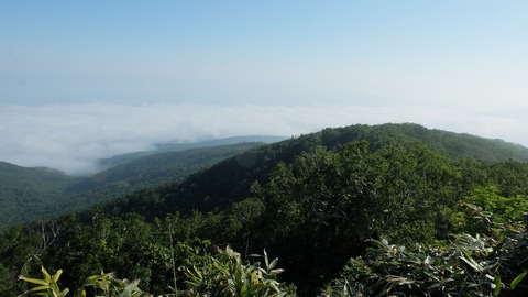DSCF0493