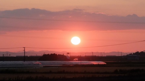 DSCF0450