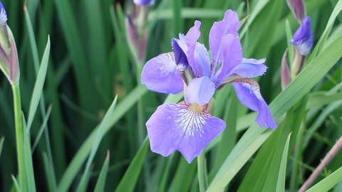 DSCF9846