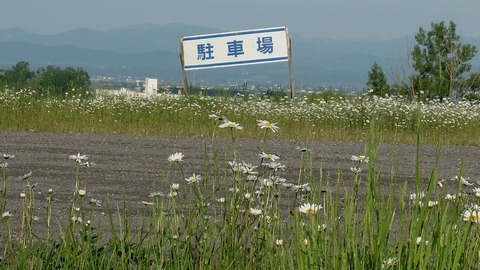 DSCF9641
