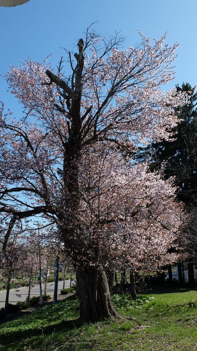 DSCF8657