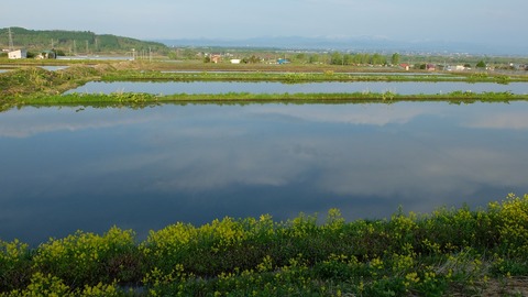 DSCF9184